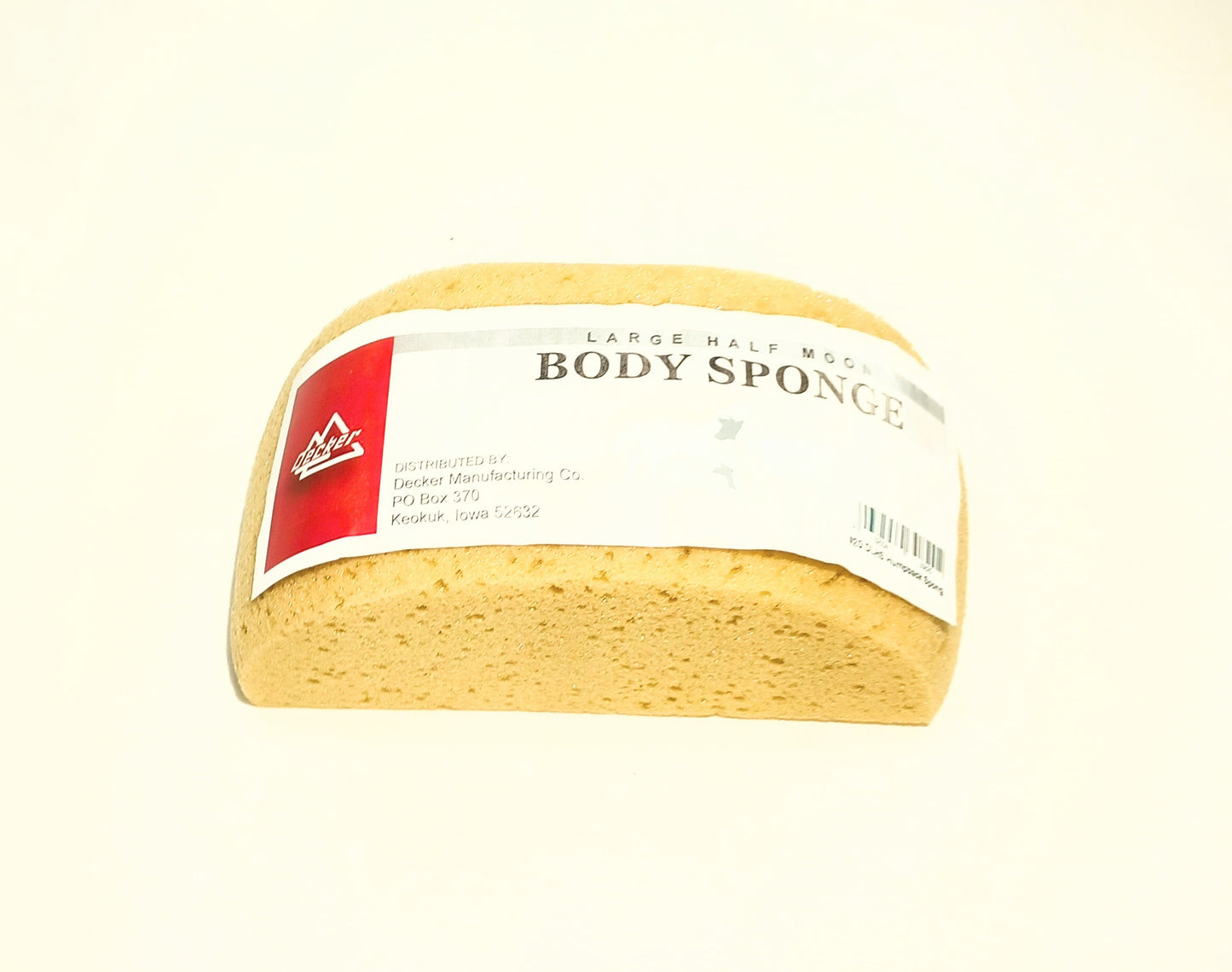 Large Sponge