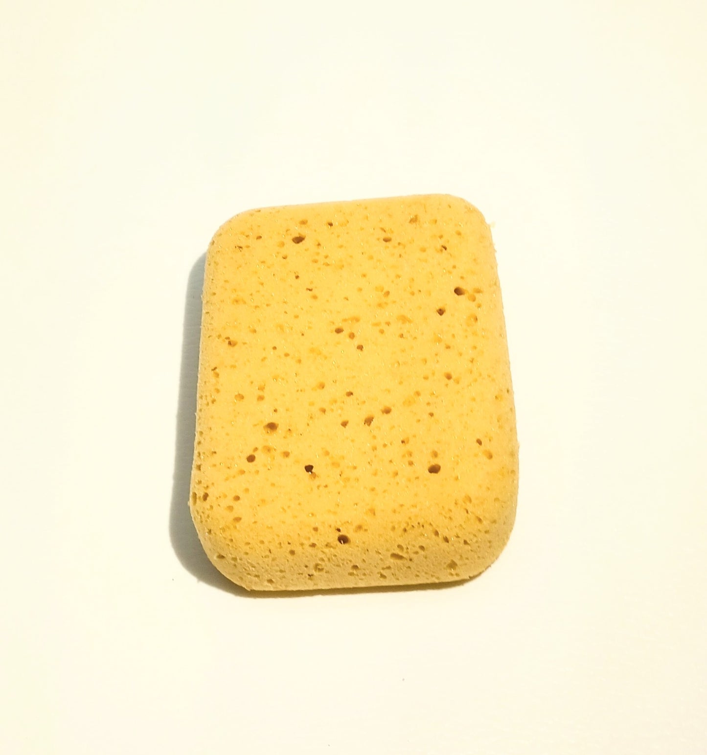 Sponge