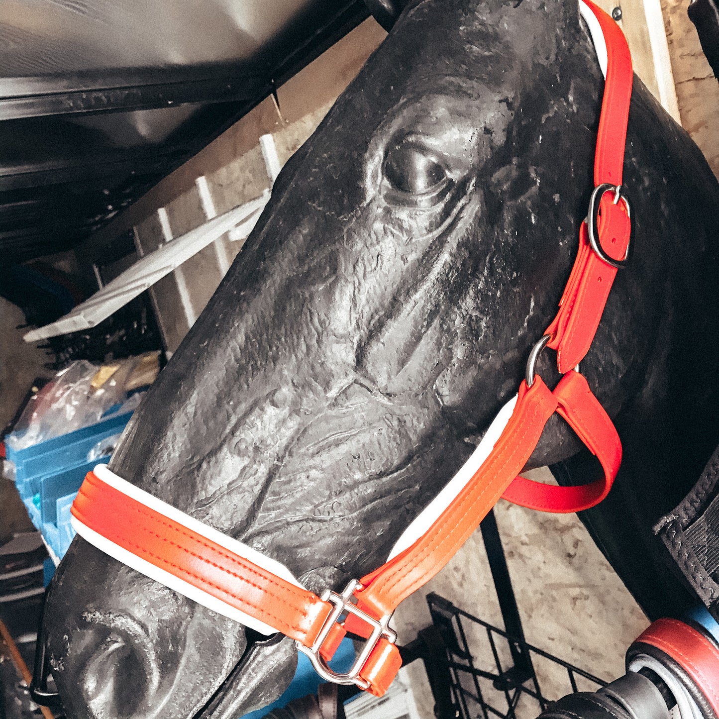 Beta Padded Halter