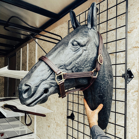 Brown Leather Halter