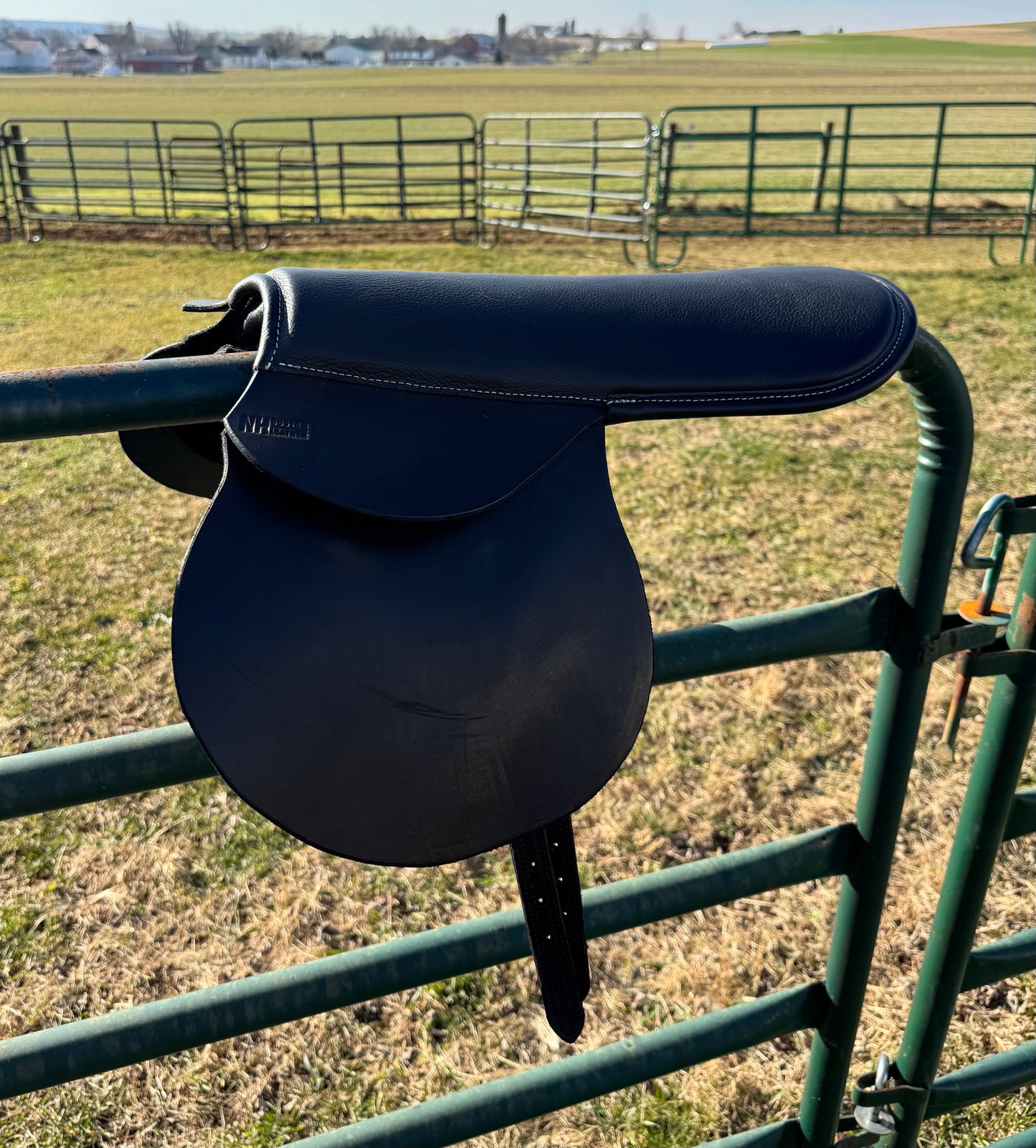 Exercise Saddle