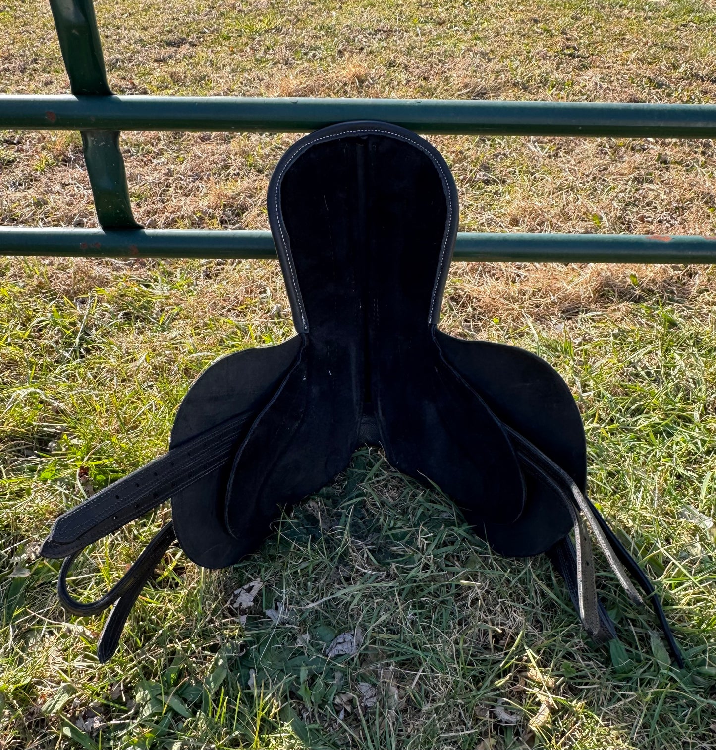 Exercise Saddle