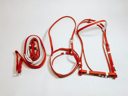Three Piece Beta Bridle Set